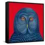 Blue Owl, 1995-Tamas Galambos-Framed Stretched Canvas