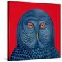 Blue Owl, 1995-Tamas Galambos-Stretched Canvas