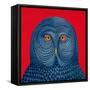 Blue Owl, 1995-Tamas Galambos-Framed Stretched Canvas