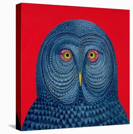 Blue Owl, 1995-Tamas Galambos-Stretched Canvas