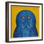 Blue Owl, 2015-Tamas Galambos-Framed Giclee Print