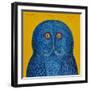 Blue Owl, 2015-Tamas Galambos-Framed Giclee Print