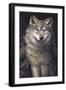 Blue Owl - Wolf-Penny Wagner-Framed Premium Giclee Print