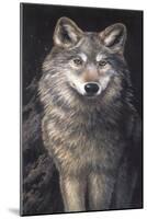 Blue Owl - Wolf-Penny Wagner-Mounted Giclee Print