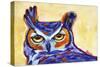 Blue Owl-Corina St. Martin-Stretched Canvas