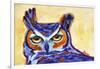 Blue Owl-Corina St. Martin-Framed Giclee Print