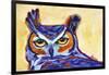 Blue Owl-Corina St. Martin-Framed Giclee Print