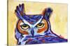 Blue Owl-Corina St. Martin-Stretched Canvas