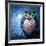 Blue Owl-Cherie Roe Dirksen-Framed Giclee Print