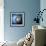 Blue Owl-Cherie Roe Dirksen-Framed Giclee Print displayed on a wall