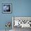 Blue Owl-Cherie Roe Dirksen-Framed Giclee Print displayed on a wall