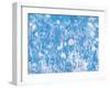 Blue Painted Texture Background with White Floral and butterflies-Bee Sturgis-Framed Art Print