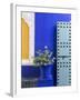 Blue Paintwork, Jardin Majorelle, Owned by Yves St. Laurent, Marrakech, Morocco-Stephen Studd-Framed Photographic Print