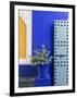 Blue Paintwork, Jardin Majorelle, Owned by Yves St. Laurent, Marrakech, Morocco-Stephen Studd-Framed Photographic Print