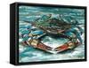 Blue Palette Crab II-Carolee Vitaletti-Framed Stretched Canvas