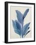 Blue Palm Leaves I-Aria K-Framed Art Print