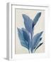 Blue Palm Leaves I-Aria K-Framed Art Print