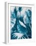 Blue Palms II-Suzanne Wilkins-Framed Art Print