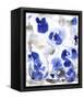 Blue Pansies I-Tim OToole-Framed Stretched Canvas