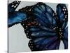 Blue Pansy-Sydney Edmunds-Stretched Canvas