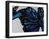 Blue Pansy-Sydney Edmunds-Framed Giclee Print