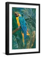 Blue parrot in the rainforest-Sarah Manovski-Framed Giclee Print