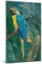 Blue parrot in the rainforest-Sarah Manovski-Mounted Giclee Print