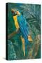 Blue parrot in the rainforest-Sarah Manovski-Stretched Canvas