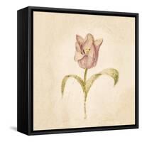 Blue Parrot Tulip on White Crop-Cheri Blum-Framed Stretched Canvas