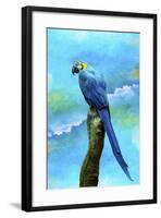 Blue Parrot-Ata Alishahi-Framed Giclee Print