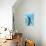 Blue Parrot-Ata Alishahi-Giclee Print displayed on a wall