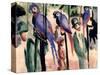 Blue Parrots-Auguste Macke-Stretched Canvas