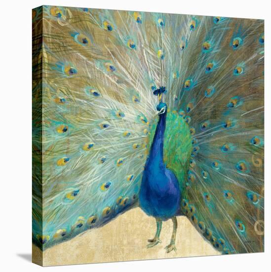 Blue Peacock Cream-Danhui Nai-Stretched Canvas