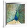 Blue Peacock Cream-Danhui Nai-Framed Art Print