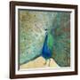 Blue Peacock Cream-Danhui Nai-Framed Art Print