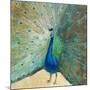 Blue Peacock Cream-Danhui Nai-Mounted Art Print