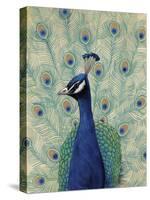 Blue Peacock II-null-Stretched Canvas