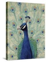 Blue Peacock II-null-Stretched Canvas