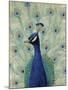 Blue Peacock II-null-Mounted Art Print