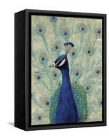 Blue Peacock II-null-Framed Stretched Canvas