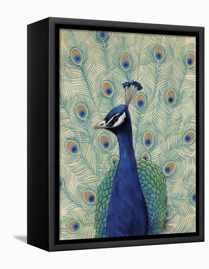 Blue Peacock II-null-Framed Stretched Canvas