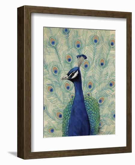 Blue Peacock II-null-Framed Art Print