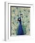 Blue Peacock II-null-Framed Art Print