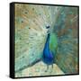 Blue Peacock on Gold-Danhui Nai-Framed Stretched Canvas