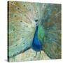 Blue Peacock on Gold-Danhui Nai-Stretched Canvas