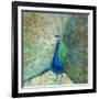 Blue Peacock on Gold-Danhui Nai-Framed Art Print