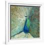 Blue Peacock on Gold-Danhui Nai-Framed Art Print