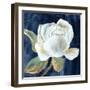 Blue Peony II-Alex Black-Framed Art Print