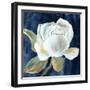 Blue Peony II-Alex Black-Framed Art Print