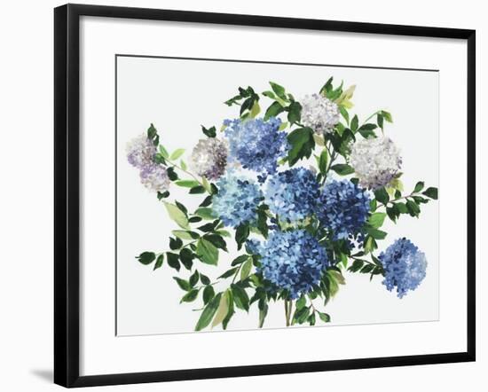 Blue Petals-Asia Jensen-Framed Art Print